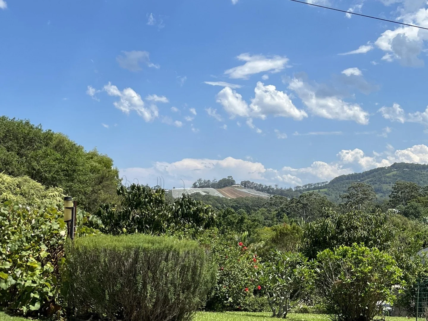 121 Newmans Road, Woolgoolga NSW 2456 photo 2