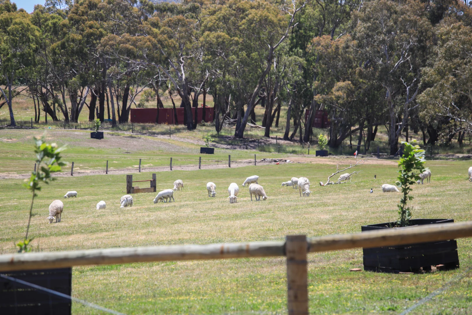 Additional image 6 of 764 (Sec 2989) Flaxley Road, Flaxley SA 5153