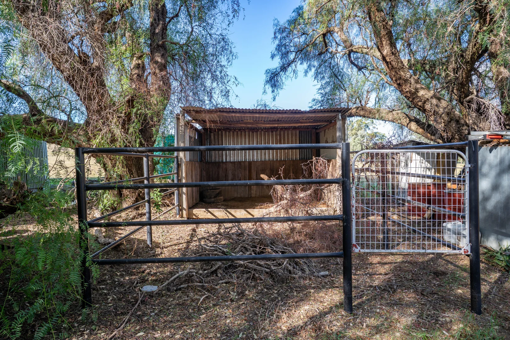 Additional image 12 of 51 Cable Street, Canowindra NSW 2804