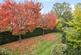 Additional image 5 of Lightwater,  Surrey,  GU18