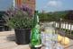 Additional image 4 of Maesmawr Farm Resort, Moat Lane, Caersws