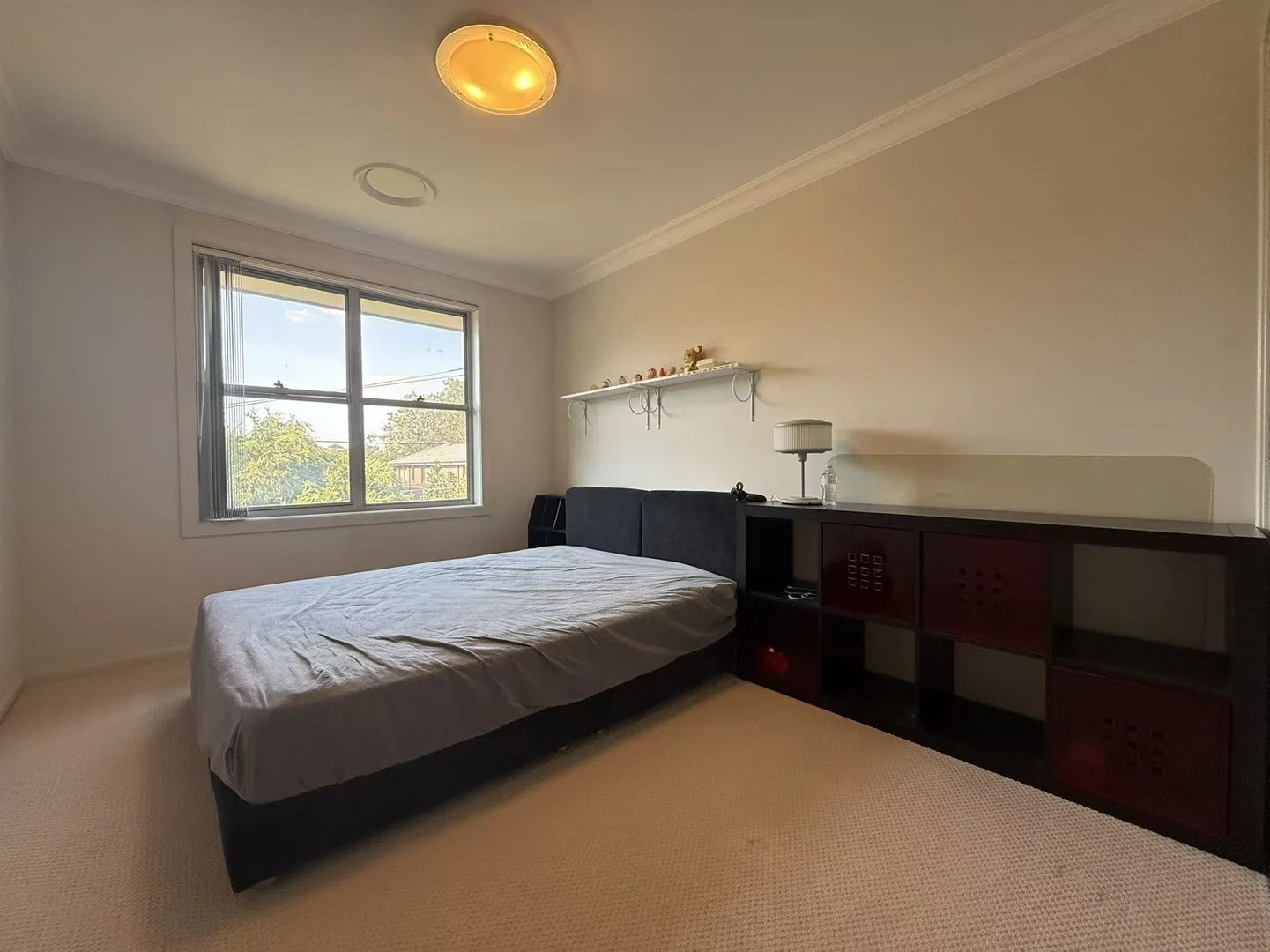Additional image 8 of 19 Irvine Crescent, Ryde NSW 2112