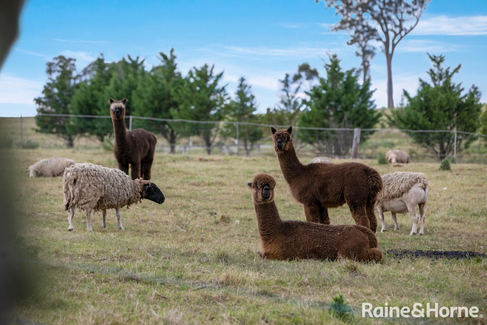 Additional image 26 of 1469 Caoura Road, Tallong NSW 2579