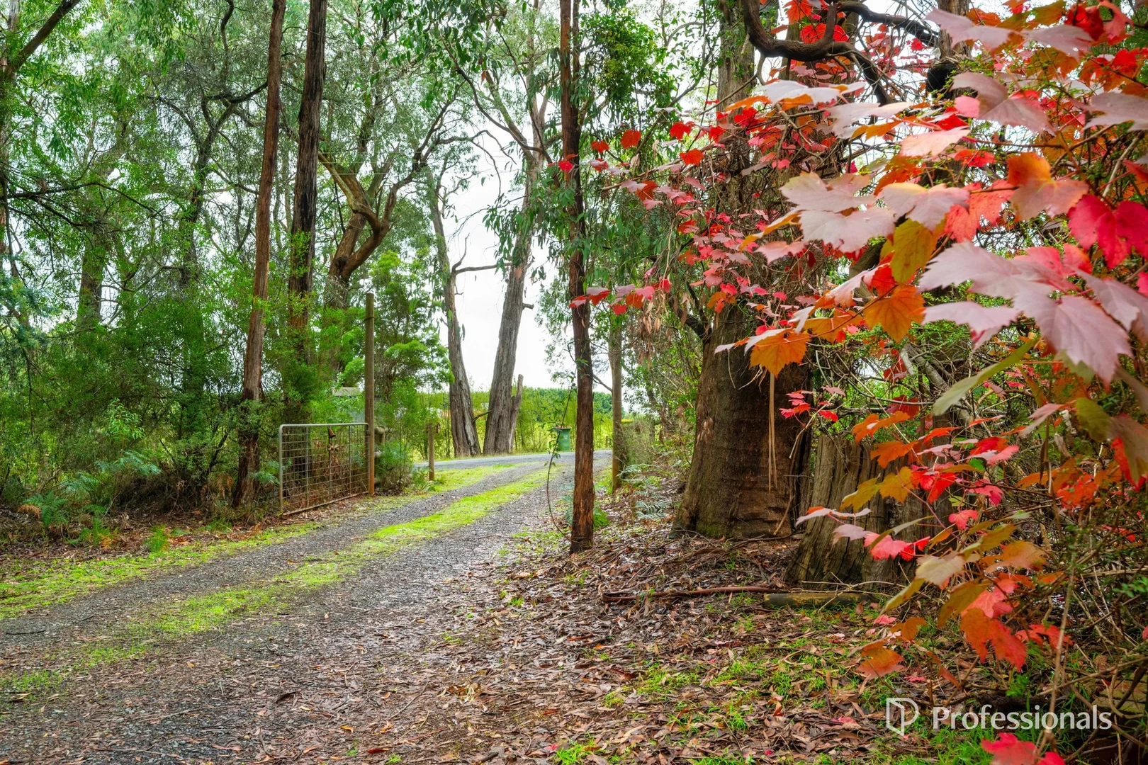 Additional image 14 of 160 Worlley Road, Hoddles Creek VIC 3139