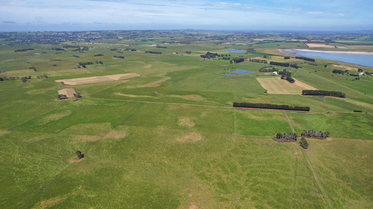Additional image 26 of 'Avon Park Farm' 310 Chocolyn Road, Camperdown VIC 3260