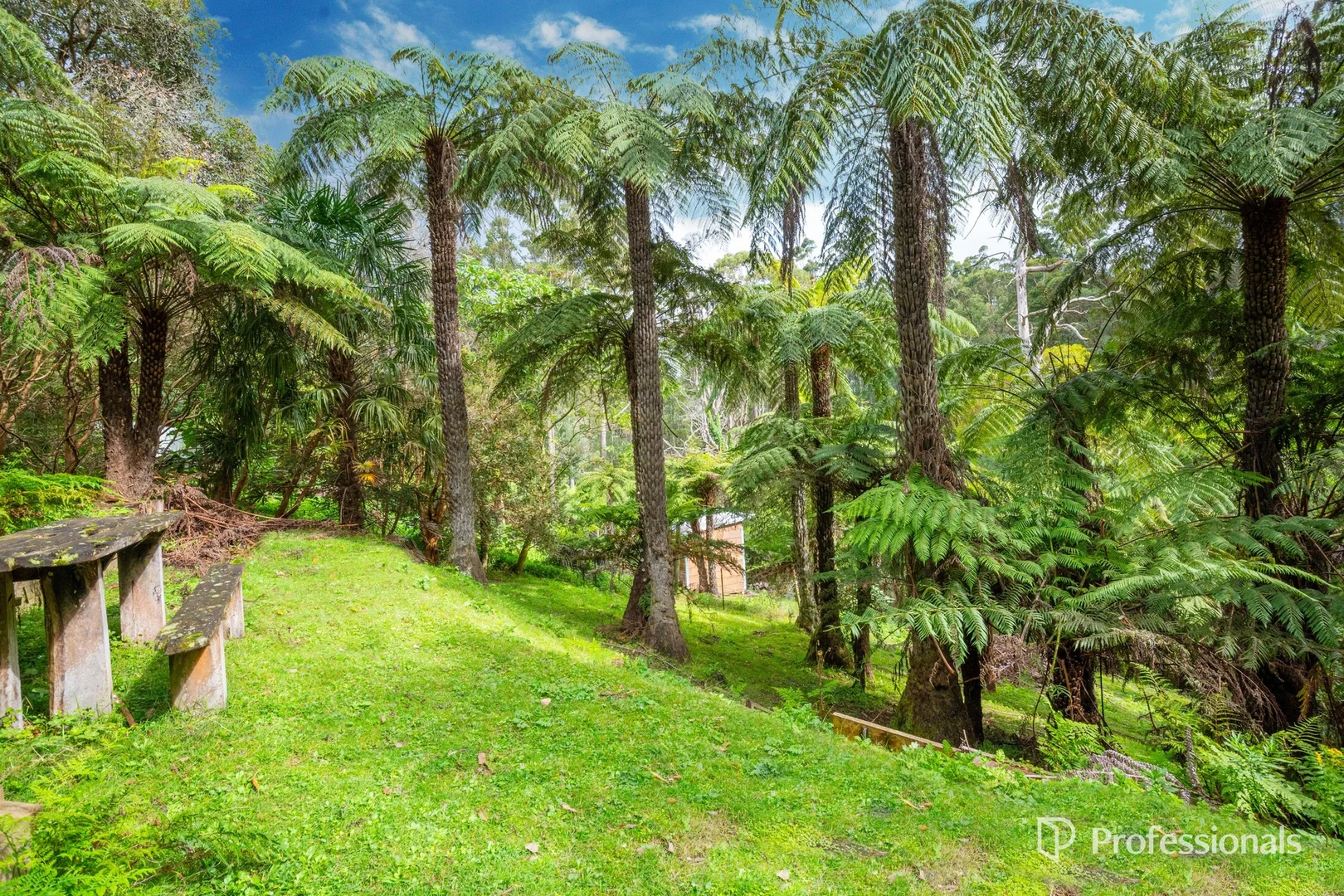 Additional image 30 of 5 Essex Street, Warburton VIC 3799