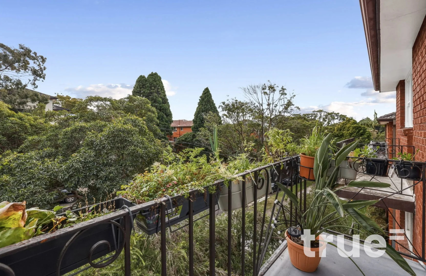 Additional image 5 of 11/23 Orpington Street, Ashfield NSW 2131
