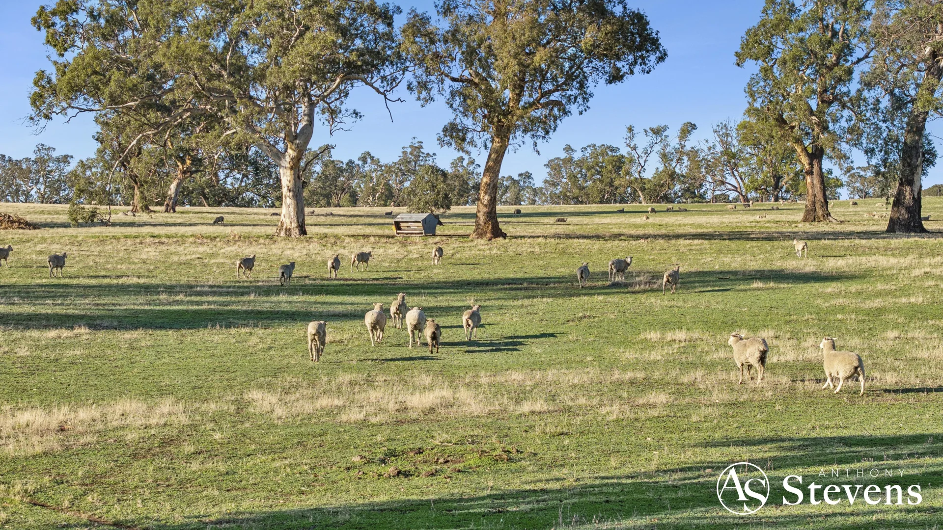 Additional image 45 of 866 Coliban Park Road, Redesdale VIC 3444