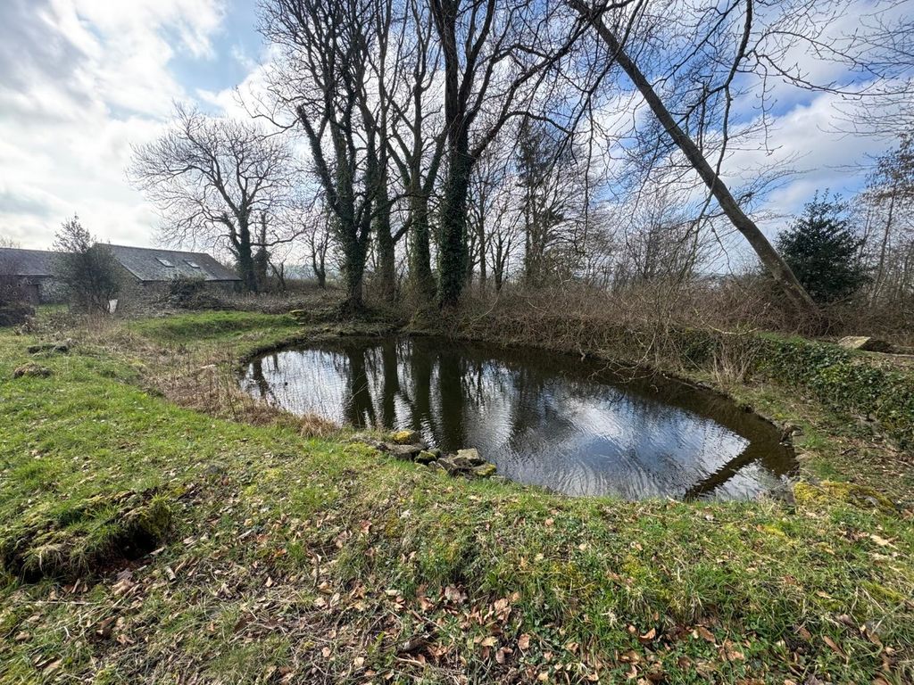 Additional image 57 of 3 bed farm for saleCilcennin, Lampeter SA48