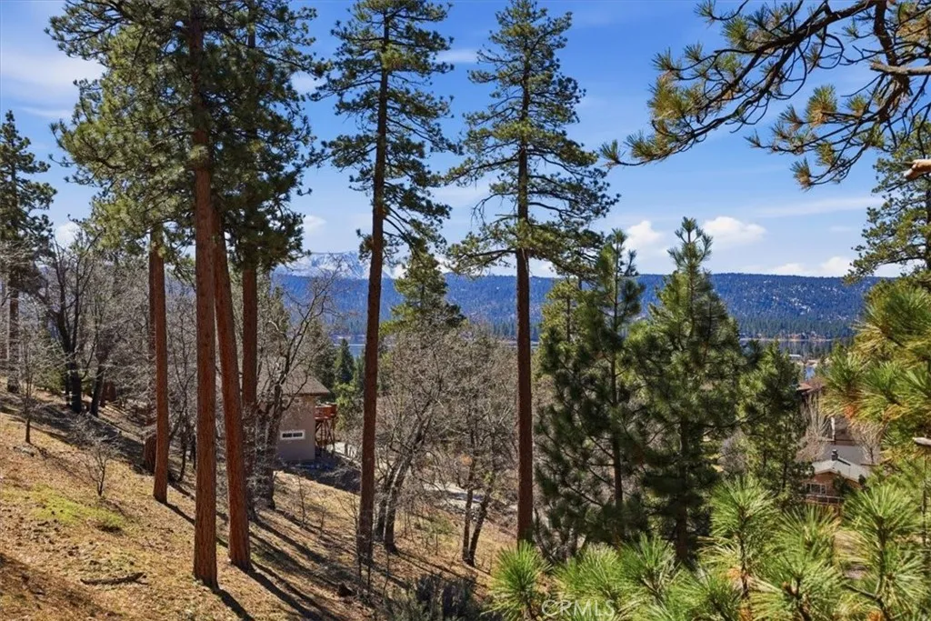 Additional image 43 of 1146 Ridge Rd, Fawnskin, CA 92333