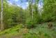 Additional image 21 of Pitch Place, Thursley, Godalming, Surrey, GU8
