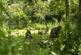 Additional image 73 of Tanygroes, Nr Aberporth, Cardigan