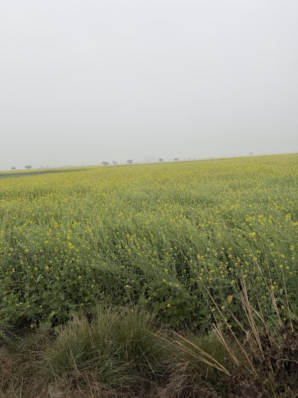 Additional image 2 of Naugaon, Alwar