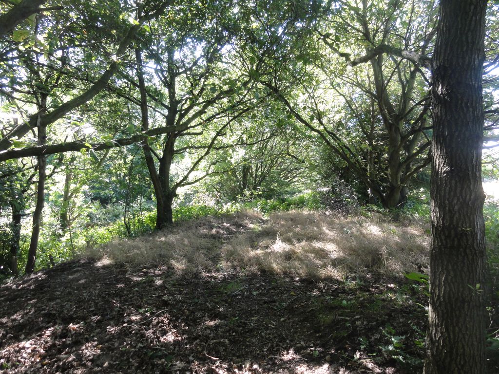 Additional image 11 of Land for saleWoodlands, Leeds LS16