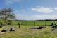 Additional image 2 of Studley, Calne