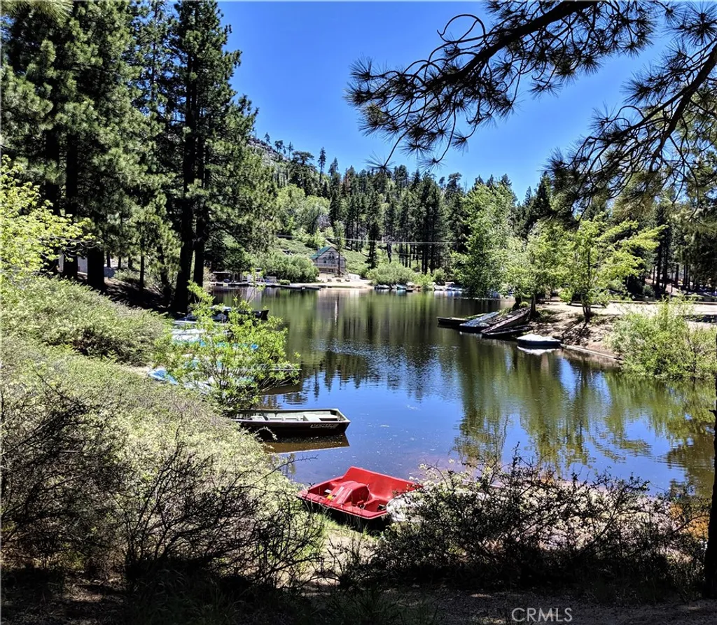 33459 Wild Cherry Dr, Green Valley Lake, CA 92341