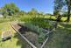 Additional image 68 of Llangybi,  Lampeter, SA48