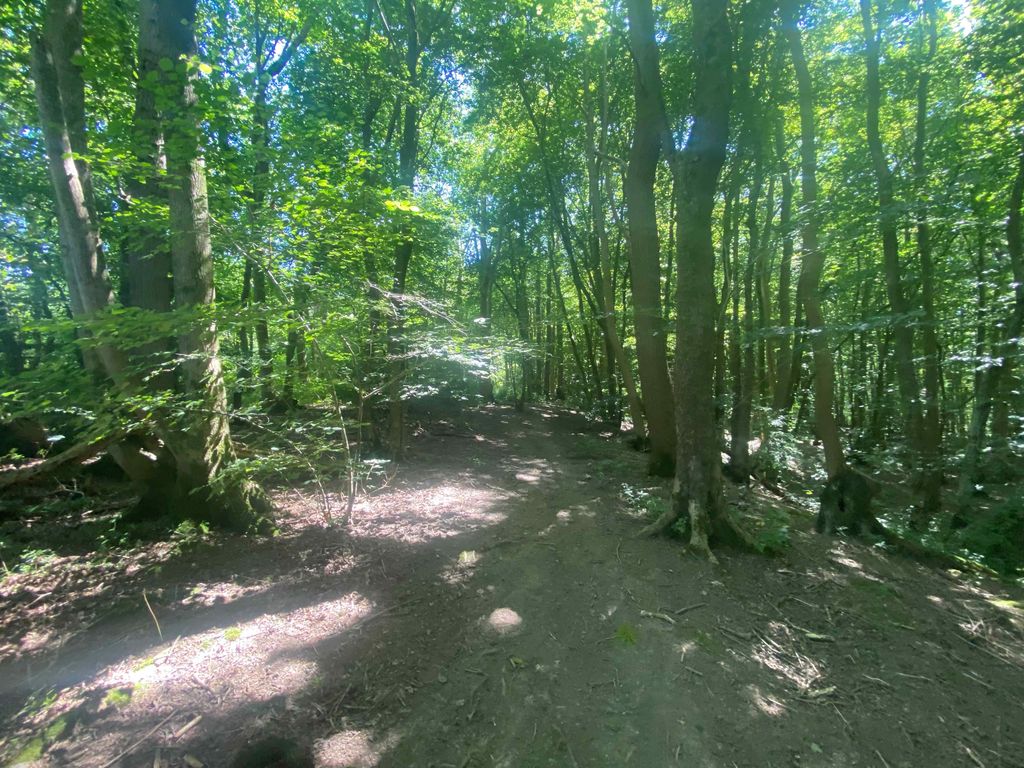 Land for saleHurst Lane, Battle TN33