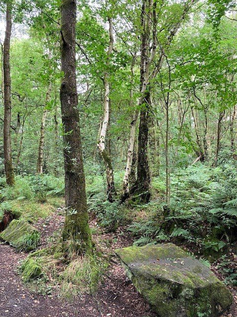 Additional image 5 of Land for saleGoit Stock Wood, Harden, Bingley, West Yorkshire BD16