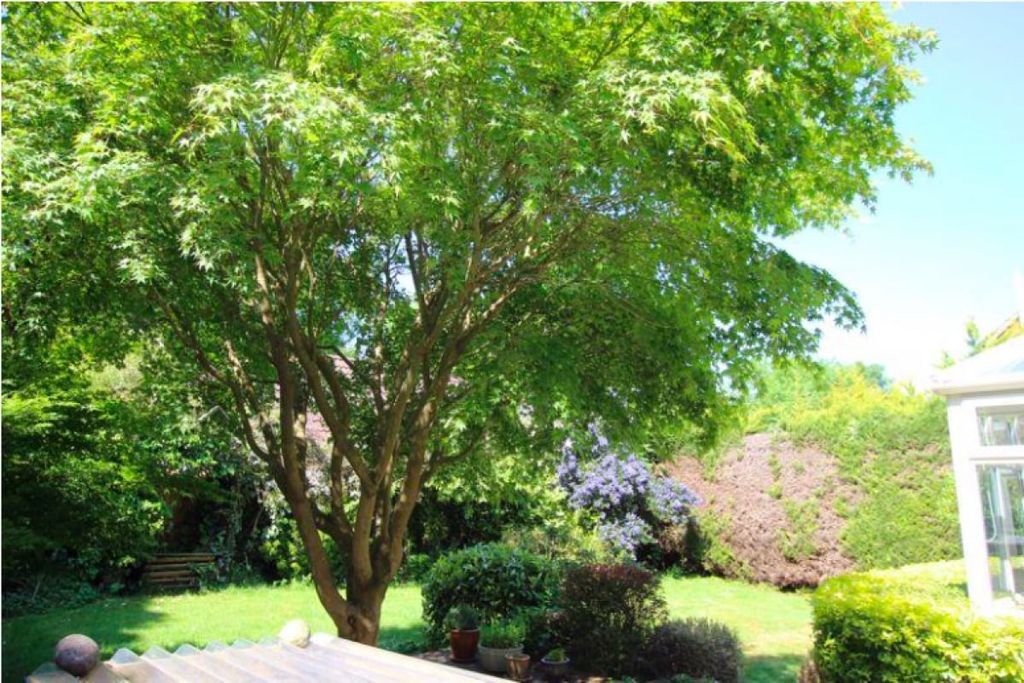 Additional image 18 of 4 bed detached house for saleHarriotts Lane, Ashtead KT21