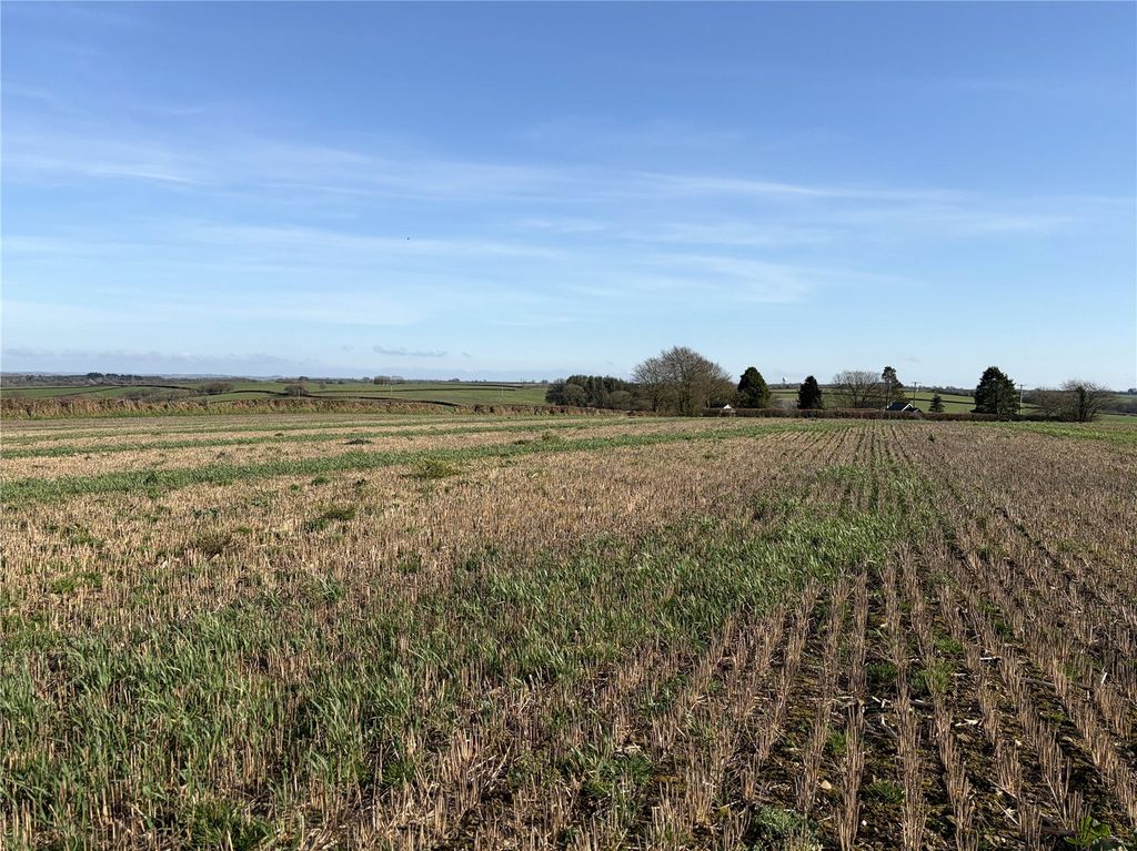 Land for saleEbberley, Torrington, Devon EX38 photo 5