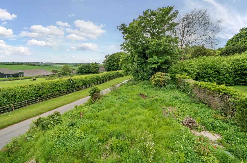 Additional image 6 of Land for saleBighton, Alresford, Hampshire SO24