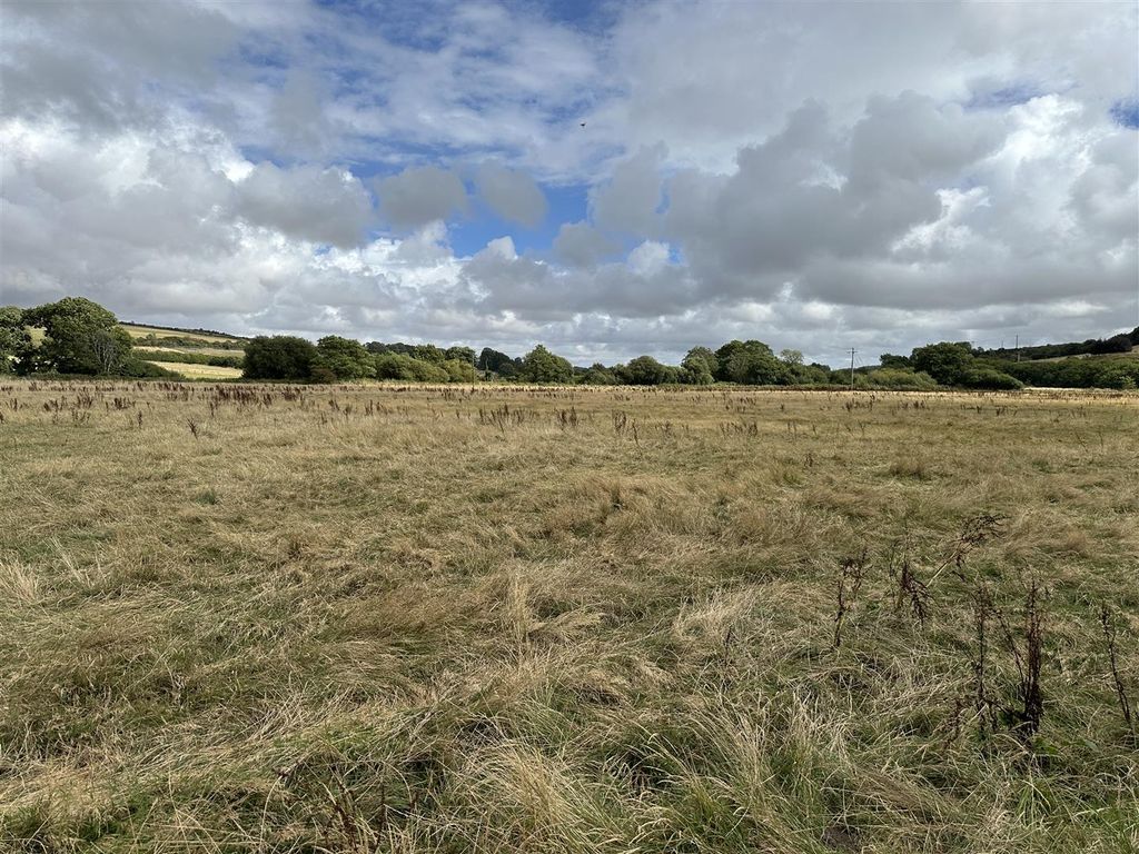 Additional image 5 of Land for saleWater Meadow At Cruxton Manor Farm, Maiden Newton, Dorchester DT2