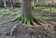 Additional image 12 of Coed Ffordd Pererin, Llanybri SA33