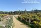 Additional image 16 of Normandy Way | Ringwood | BH24