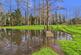 Additional image 51 of Station Road, Nether Whitacre, B46