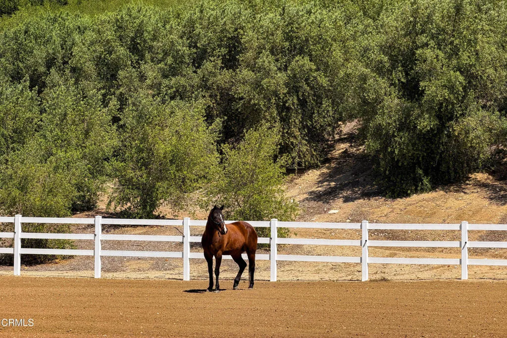 Additional image 59 of 14855 Middle Ranch Road, Moorpark, CA 93021