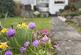 Additional image 24 of Abbey Road, Scone, Perth