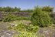 Additional image 62 of Tanygroes, Nr Aberporth, Cardigan