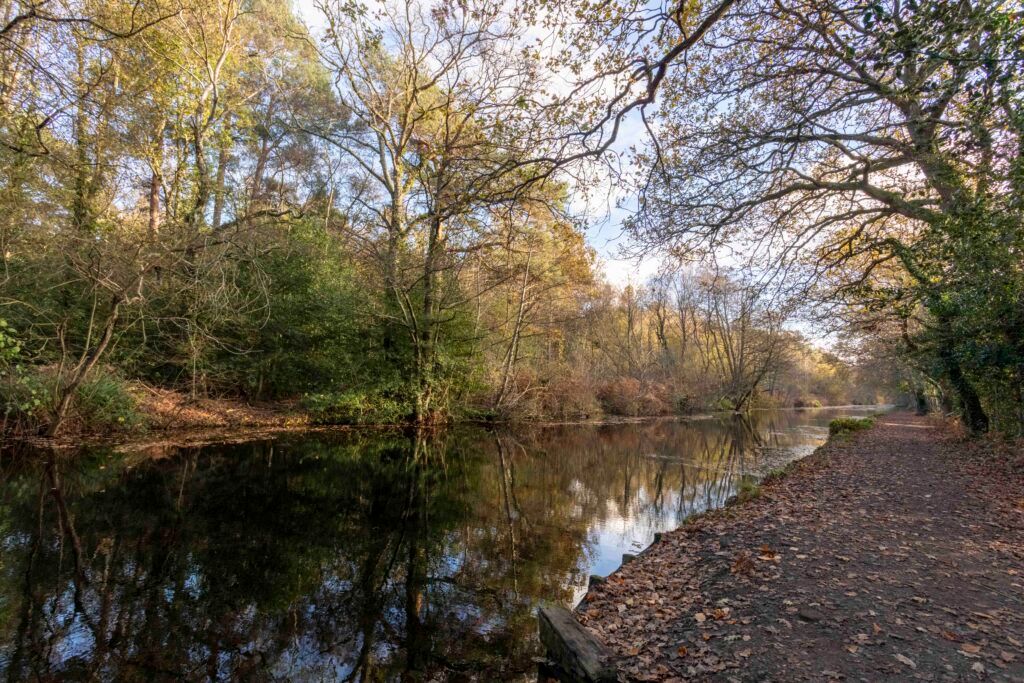 Land for salePlot 10 Potters Pool, Surrey GU16 photo 5