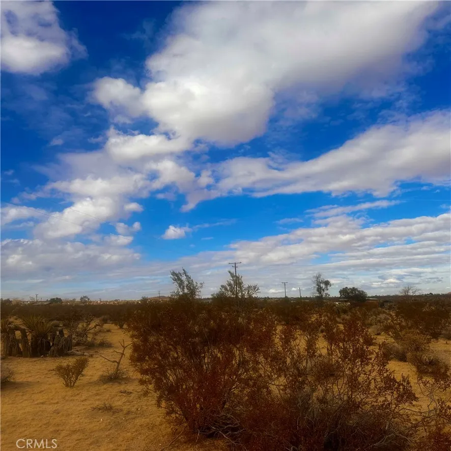 Additional image 67 of Appian Way, Joshua Tree, CA 92252