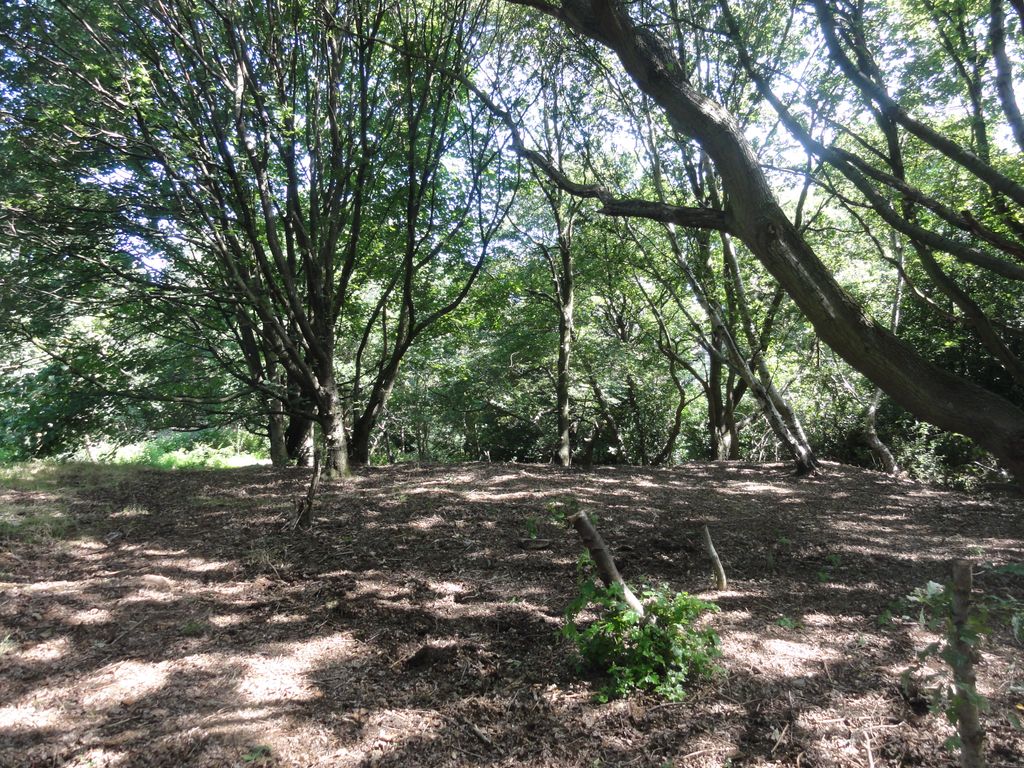 Additional image 6 of Land for saleWoodlands, Leeds LS16