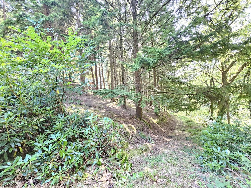 Land for saleCaddywell Lane, Torrington, Devon EX38 photo 5