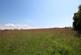 Additional image 4 of Tywyn Trewan, Rhosneigr, Anglesey, LL65