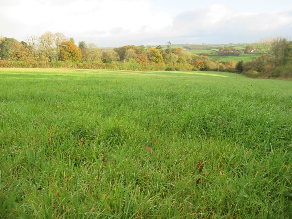 Additional image 2 of Land for saleBeaford, Winkleigh EX19