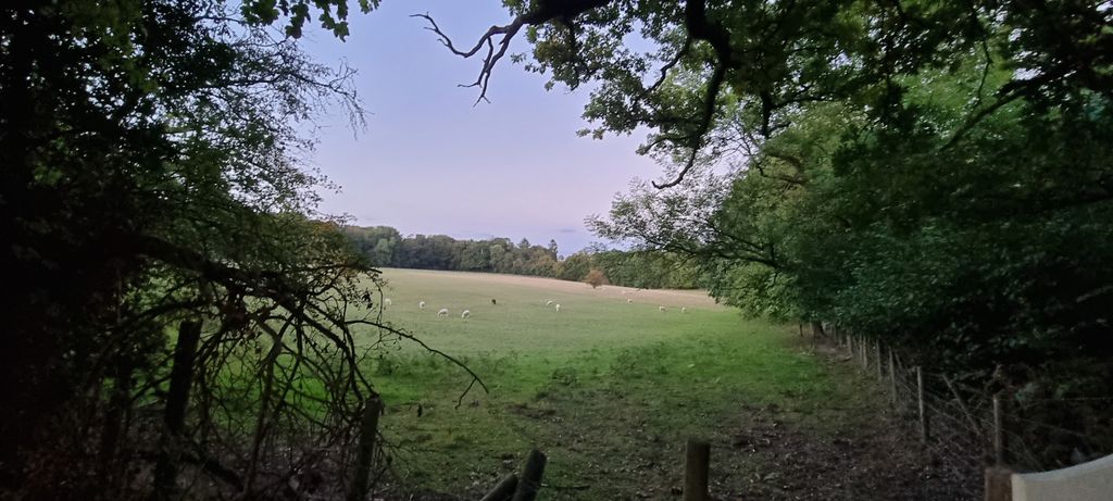 Additional image 3 of Land for saleWelders Lane, Gerrards Cross SL9