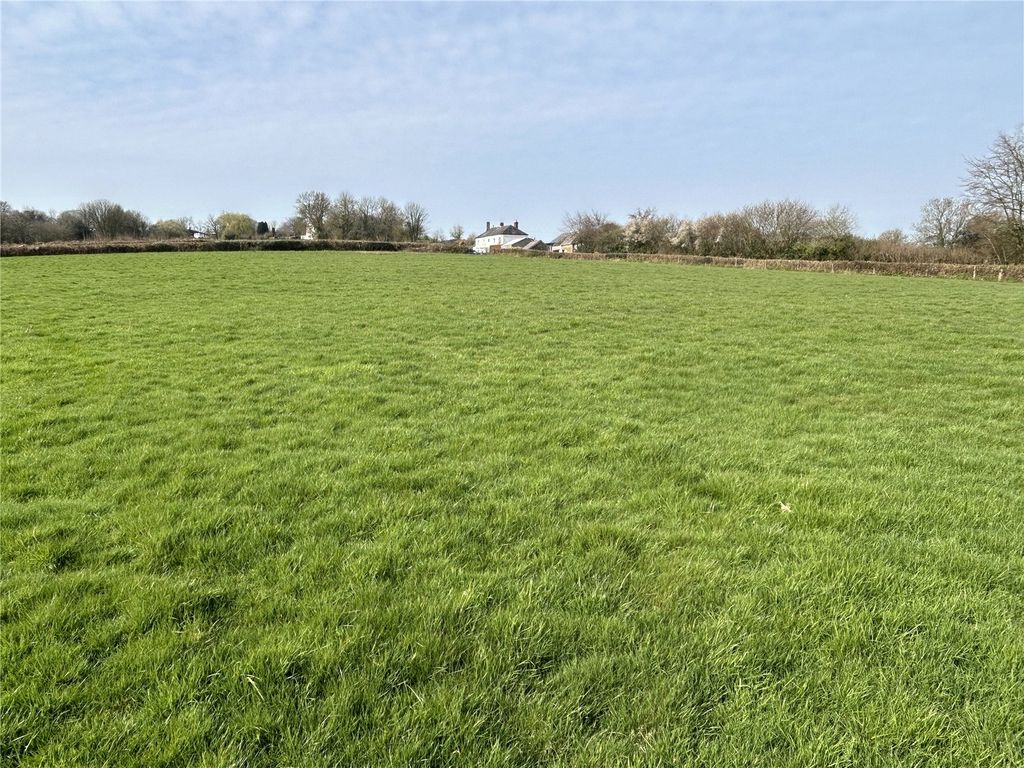 Land for saleHollocombe, Chulmleigh, Devon EX18 photo 5