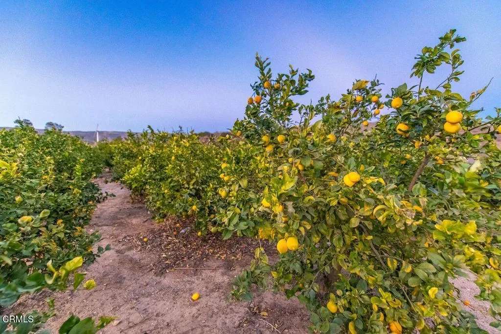 Additional image 71 of 14855 Middle Ranch Road, Moorpark, CA 93021