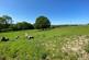 Additional image 36 of Llangybi,  Lampeter, SA48