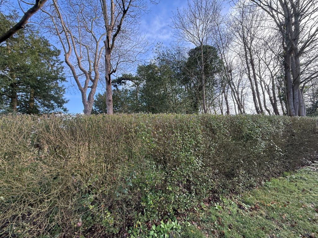 Additional image 3 of Land for saleWhitmoor Lane, Sutton Green, Guildford GU4