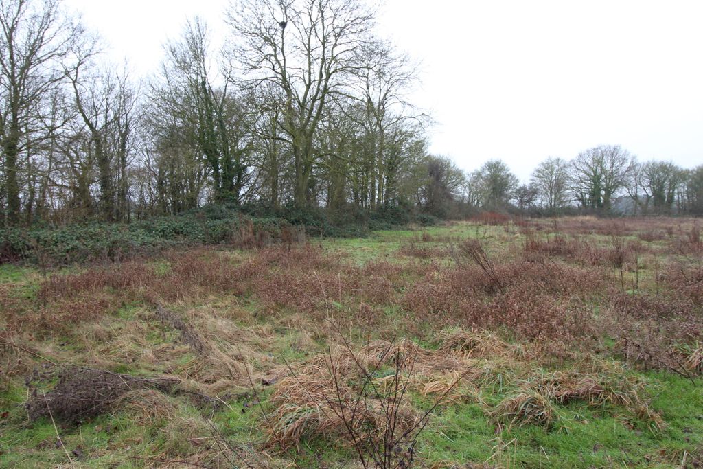 Land for saleHigh Roding, Dunmow CM6 photo 4