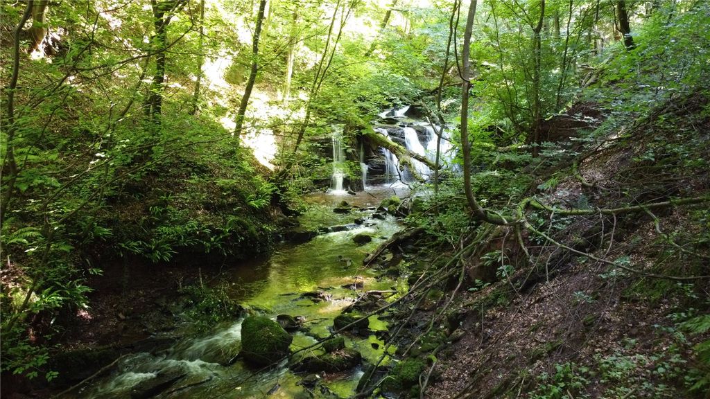 Additional image 6 of Land for saleQuarrybeck Wood, Brampton, Cumbria CA8