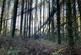Additional image 10 of Coed Ffordd Pererin, Llanybri SA33