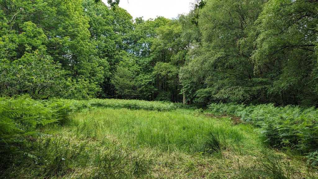 Land for saleLot 1, Southroad Wood, Warehorne Road, Woodchurch, Kent TN26