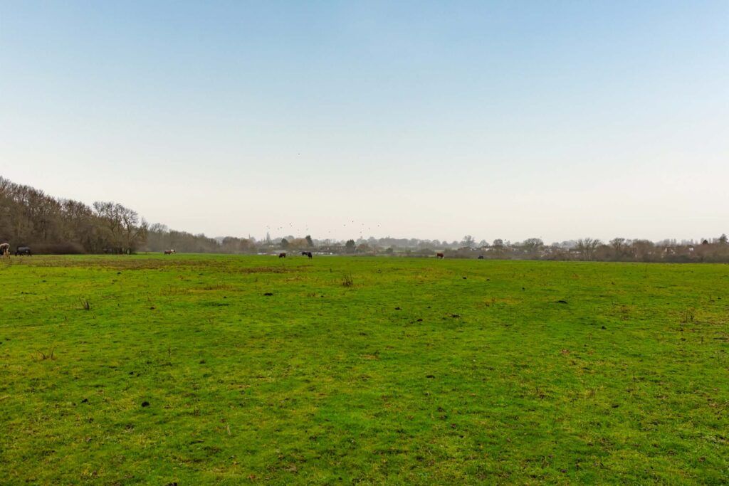 Additional image 4 of Land for salePlot 8, Off New Farm Drive, Romford RM4