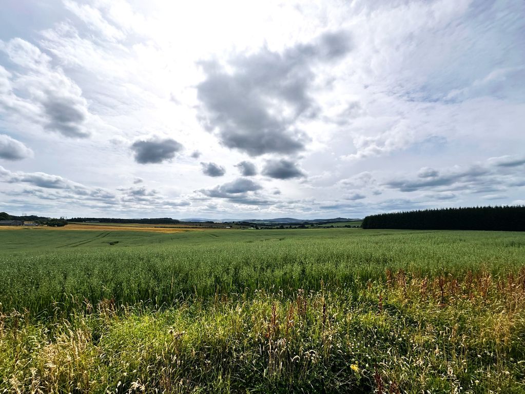 Land for saleAberchirder AB54